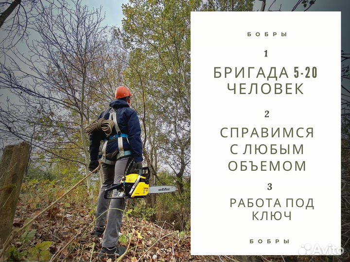 Расчистка участка от деревьев, под строительство