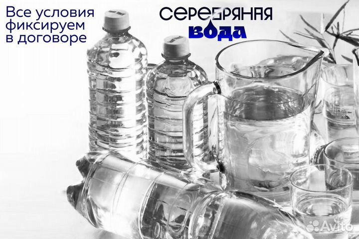 Серебряная вода: успех с первых дней