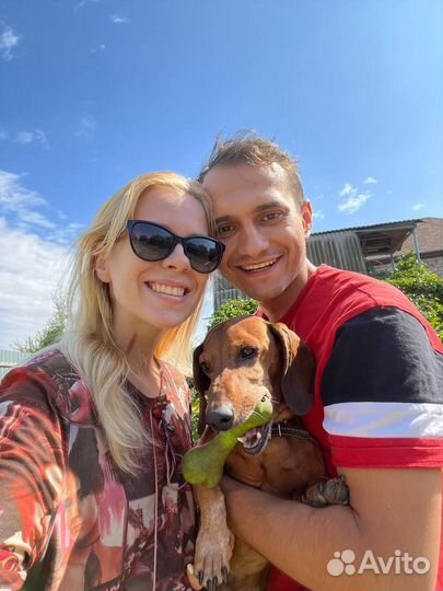 Передержка некрупных собак