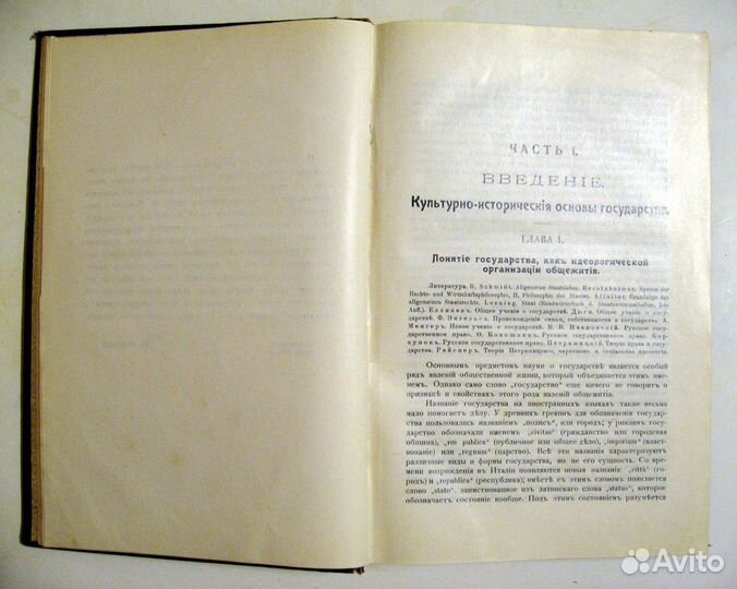 Рейснер. Государство. 1911 г