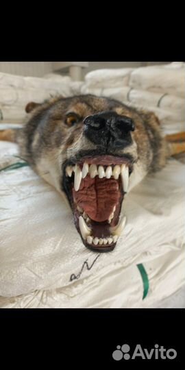 Ковер напольный волк