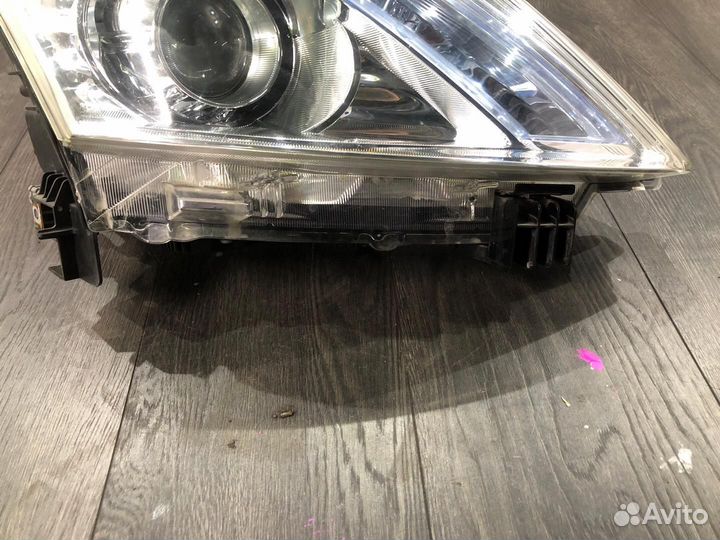 Фара ксеноновая передняя правая Nissan Teana J32