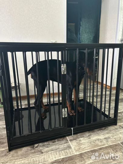 Клетка для собак V2