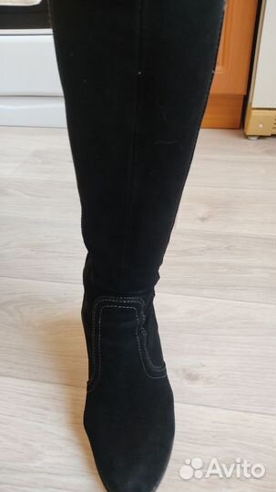 Сапоги женские демисезонные замшевые