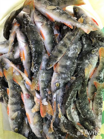 Рыба Свежемороженая сорога