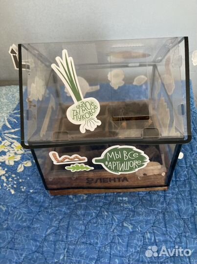 Теплица от магазина лента