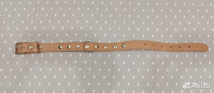 Ошейники для собак