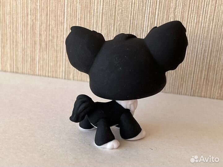 Lps лпс ооак чихуахуа