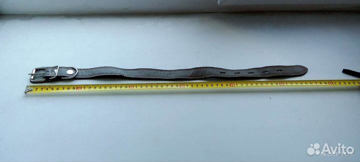 Кожаный ошейник для собак