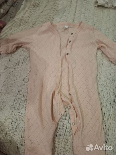 Сливы 68 размер