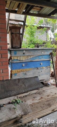 Улей для пчел бу