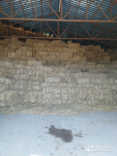Солома пшеничная в тюках