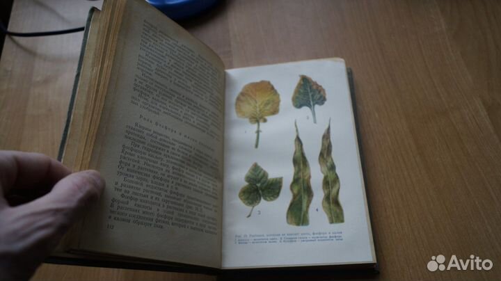 Гостев М.М. Химический кружок в школе. Педагогичес