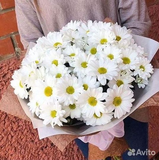 Хризантема Букеты с доставкой