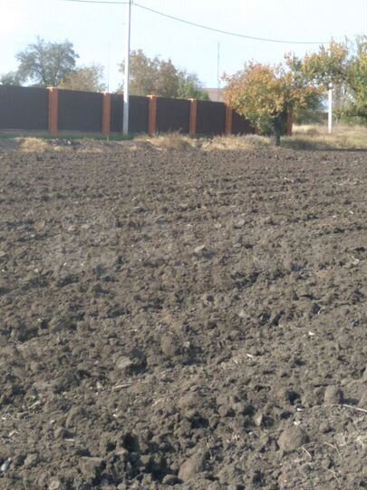 Участок 33 сот. (СНТ, ДНП)