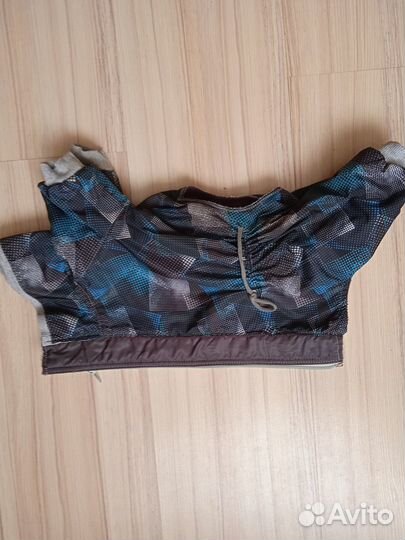 Одежда, шлейка, ошейник для маленьких собак