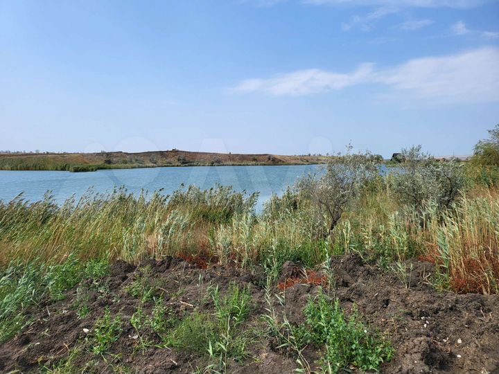 Участок 20 сот. (СНТ, ДНП)