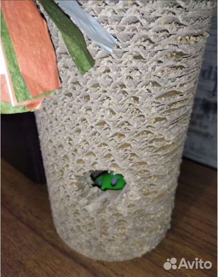 Когтеточка