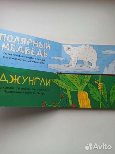 Книга Найди пару кто где живёт, школа 7 гномов