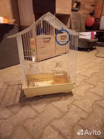 Клетка для попугая