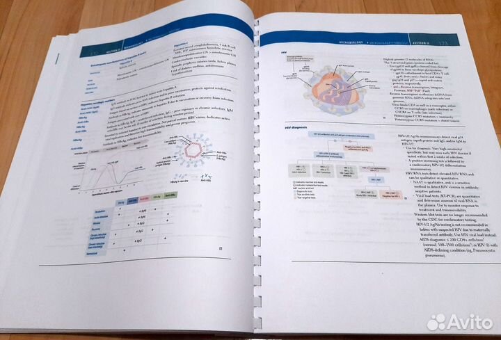 First Aid for the usmle Step1 2024 год