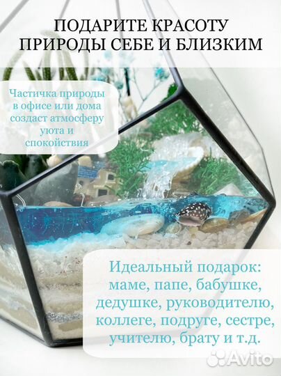 Флорариум, подарок, цветы на 1 сентября