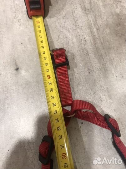 Шлейка для собаки