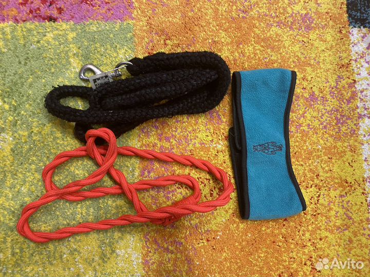 Конный спорт