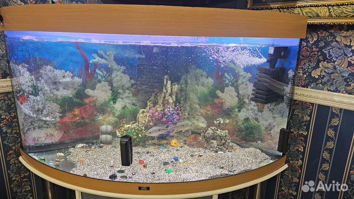 Аквариум 350л