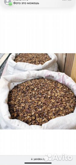 Мульча (скорлупа кедрового ореха)