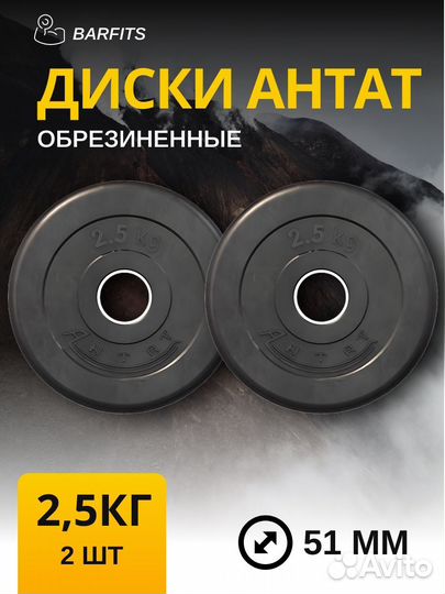 Комплект Дисков Антат 51мм 2.5кг. / 2 шт