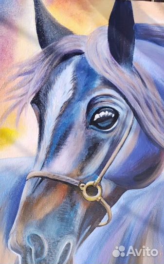 Лошадь акрилом