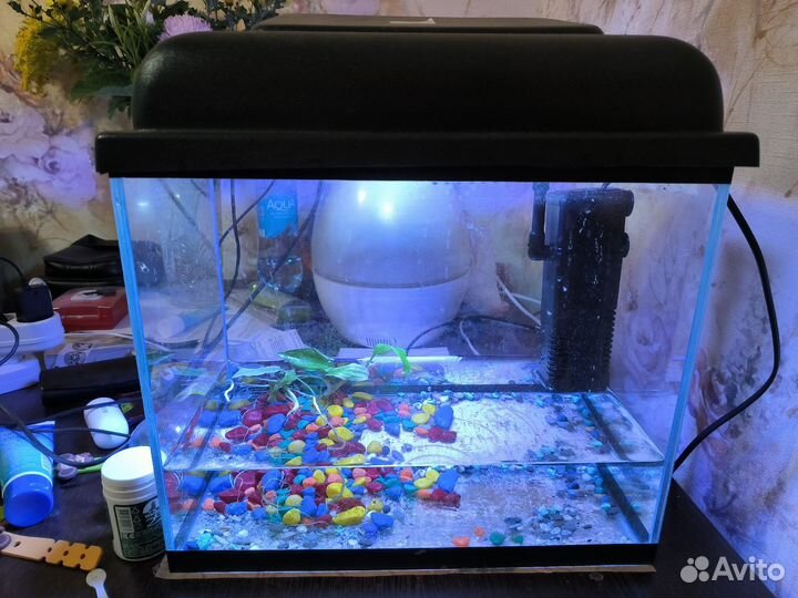 Продам аквариум