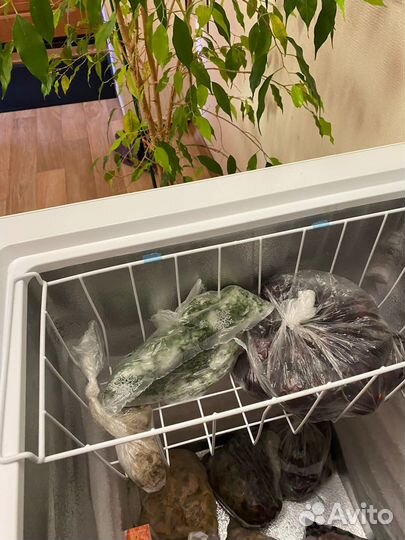 Морозильная камера