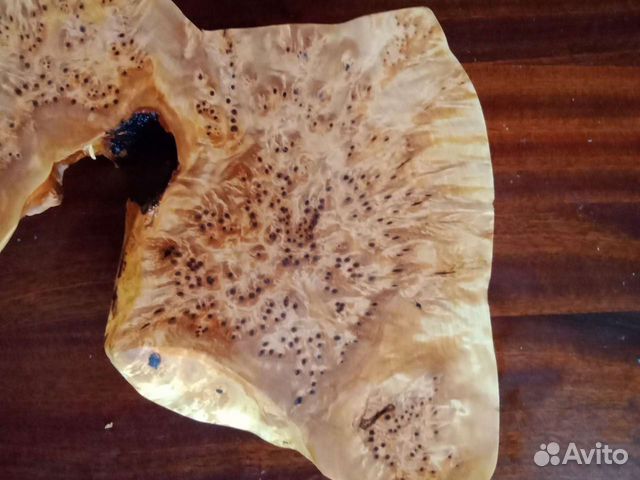 Кап березовый