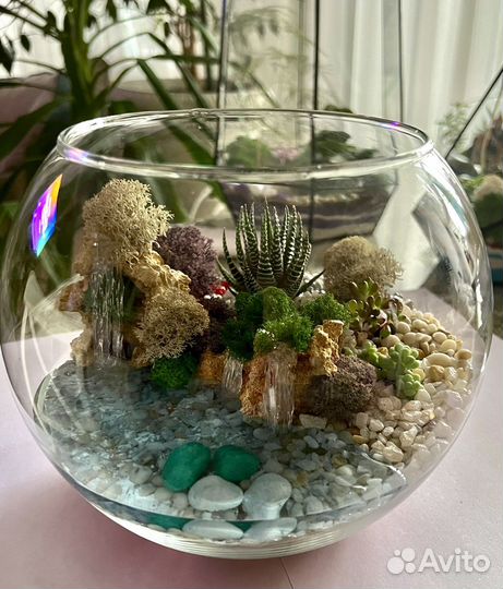Флорариум- подарок