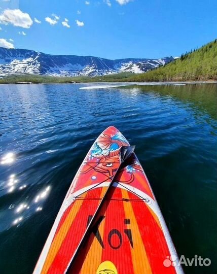 Funwater сап борд Кои