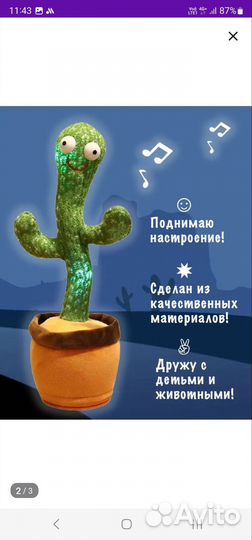 Танцующий кактус