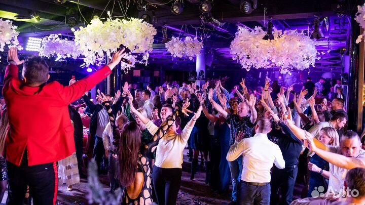 Живая музыка, ведущий, музыкант