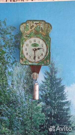 Ходики утро в сосновом бору