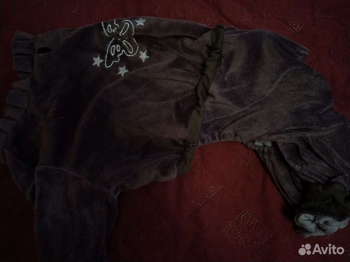 Одежда для собак