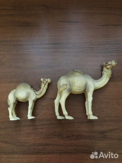 Сувенир Верблюды