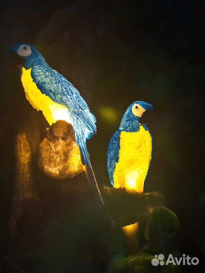 Детский светильник Попугай - Parrot