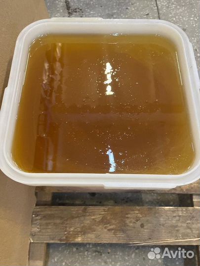 Эспарцет свежий оптом