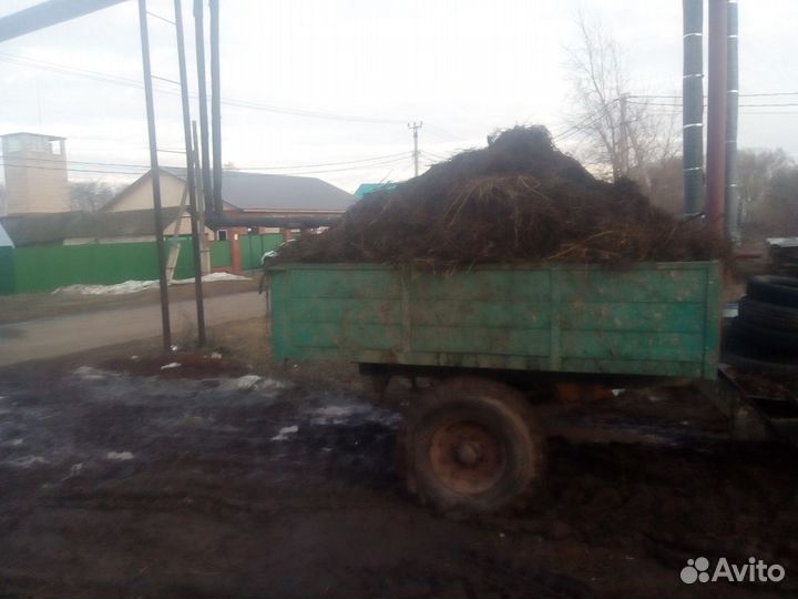 Навоз коровий