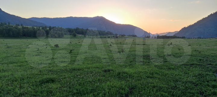 Участок 10 сот. (СНТ, ДНП)