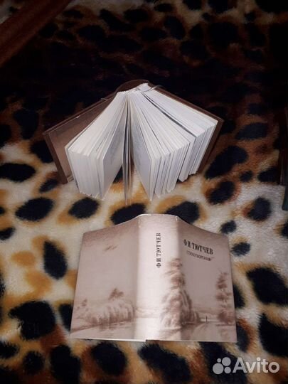 Книги карманные