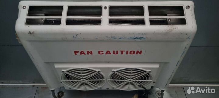 Реф на газель корейский