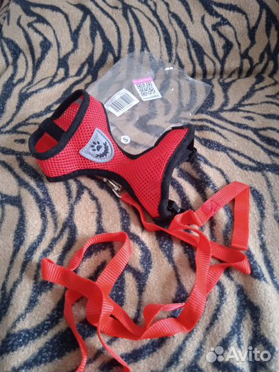 Шлейка- поводок