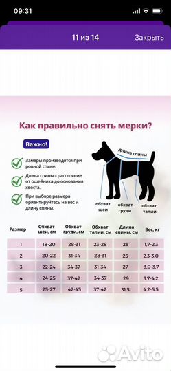Комбинезон для очень маленькой собачки
